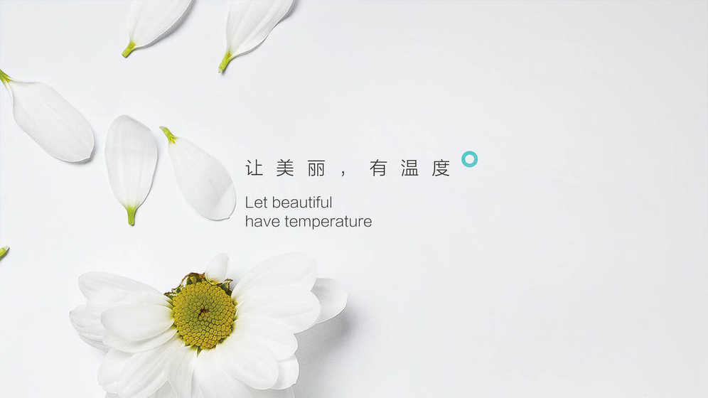 设计花店logo需要多少钱？