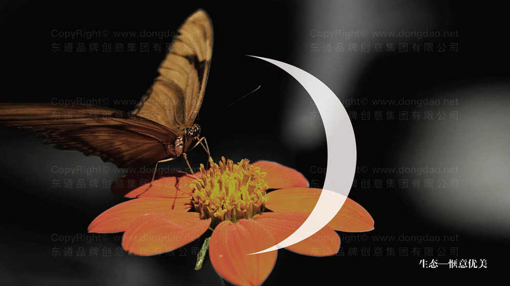 褥子Logo与产品包装设计有何区别？设计要点是什么？