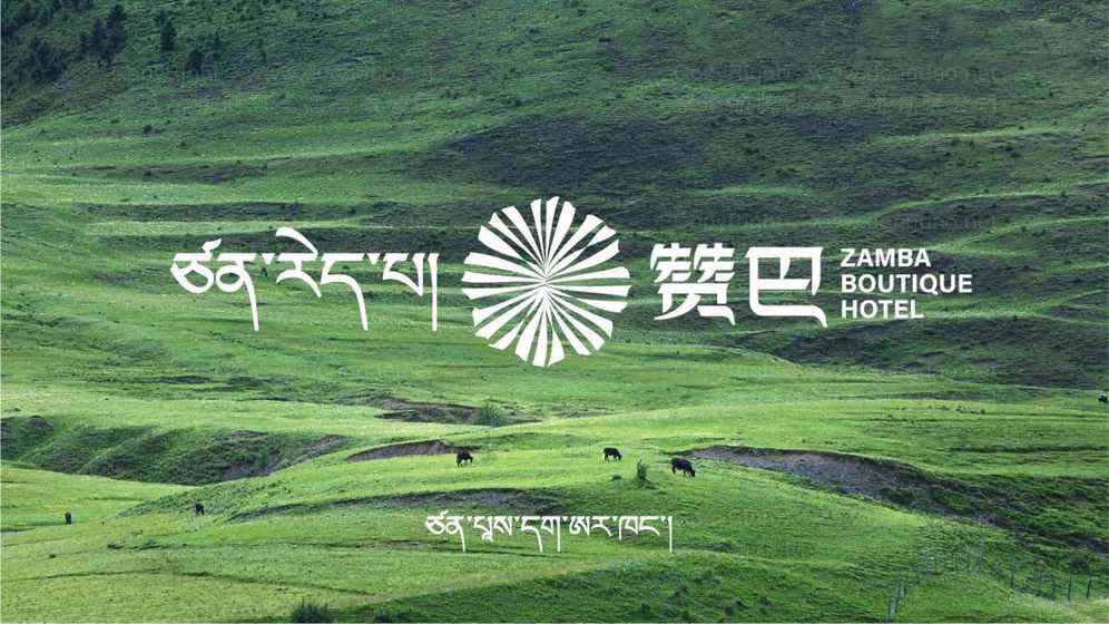 洗发水品牌设计能增强产品差异化吗?品牌核心元素主要包含哪些类型?