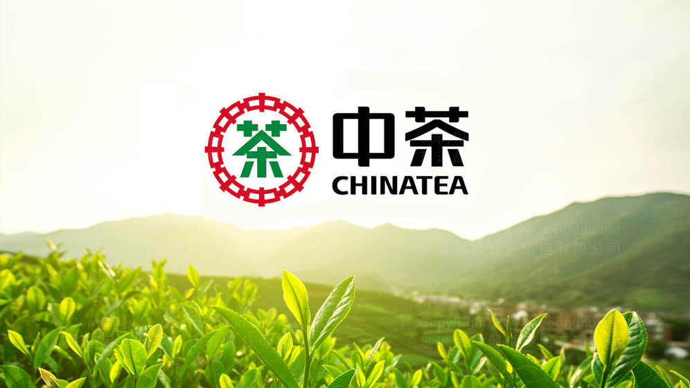 茶叶品牌设计是什么？它对消费者购买决策有何影响？