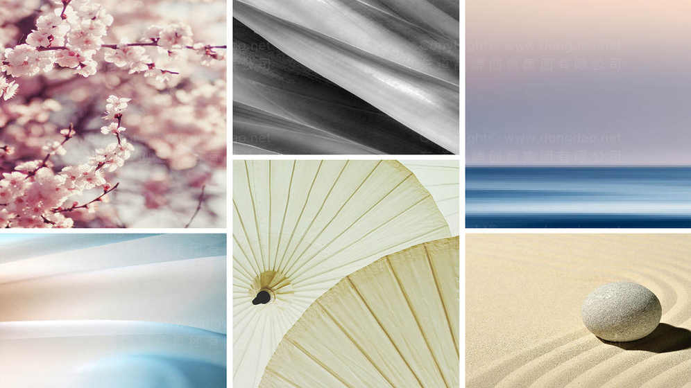 需要满足什么条件才能建立成功男袜品牌?有哪些差异化设计方法?