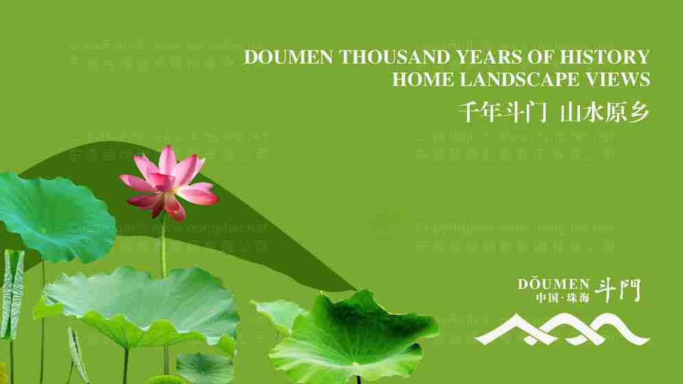 塑造压缩毛巾专业品牌形象,可以从产品命名和品牌故事哪些方面入手?