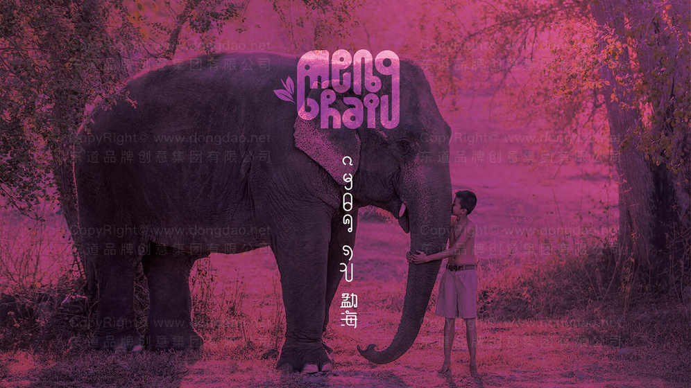 医疗与家用电动床品牌设计有何区别？定位如何决定设计方向？