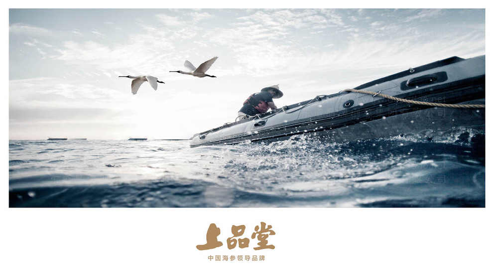 蛋糕包装设计费用受哪些因素影响？