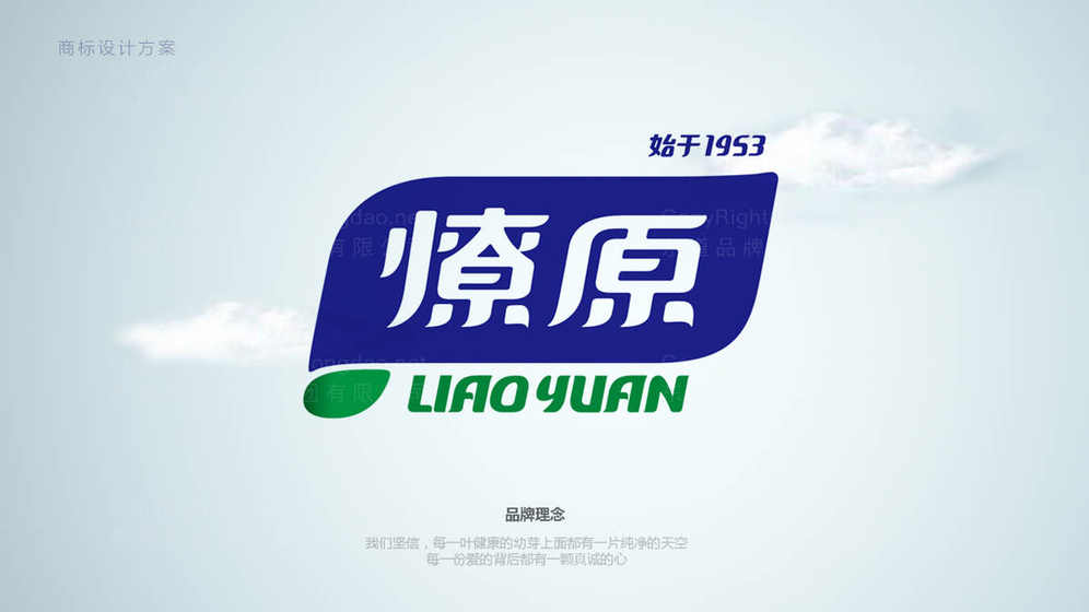 牛肉干包装设计价格是多少?如何合理估算?