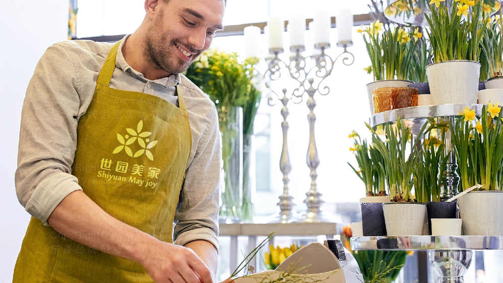 职业女装包装设计主要类型有哪些？可持续材料能应用于其中吗？