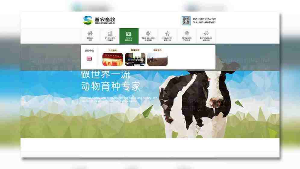 为什么灯具画册的版式设计对用户体验至关重要?它如何影响产品认知?