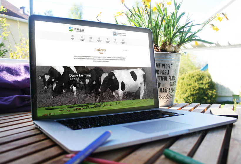 灯光画册设计是什么？它如何影响品牌视觉传达效果？