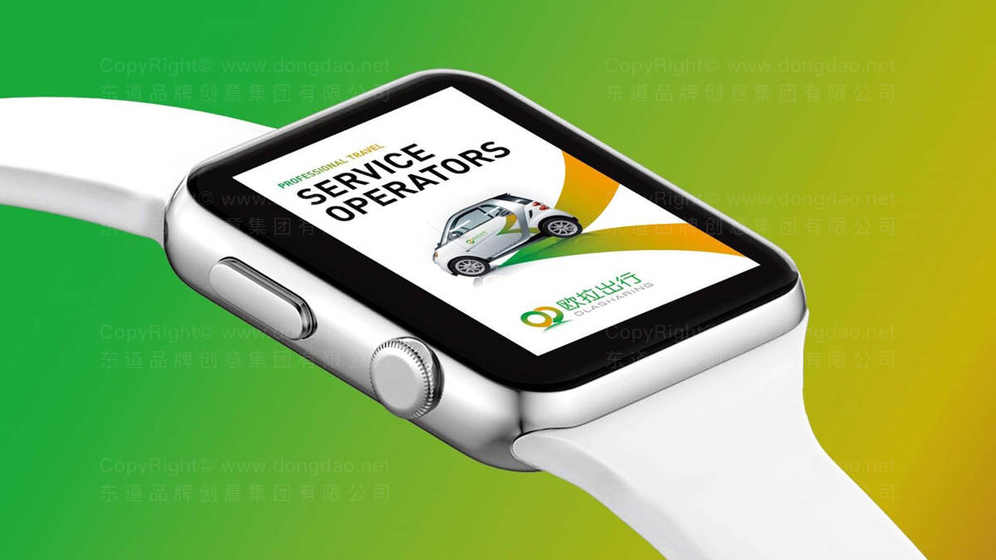 蔬菜画册设计主要包含哪些关键要素？如何平衡美观性与功能性？