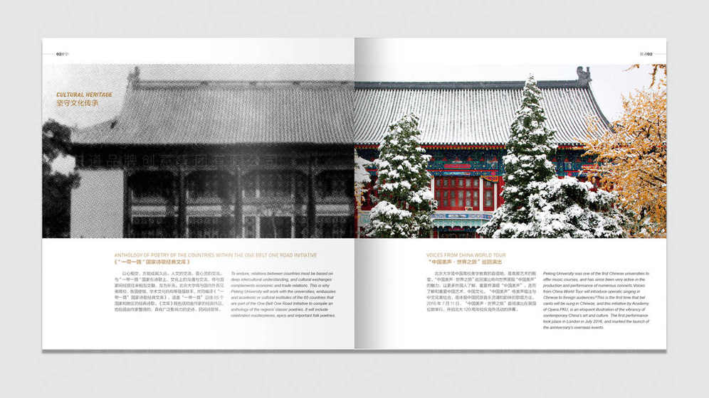 彩页画册设计需要遵循哪些基本原则？这些原则如何影响最终效果？