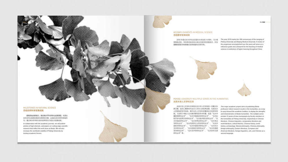 彩页画册设计的主要类型有哪些？它们分别适用于什么场景？