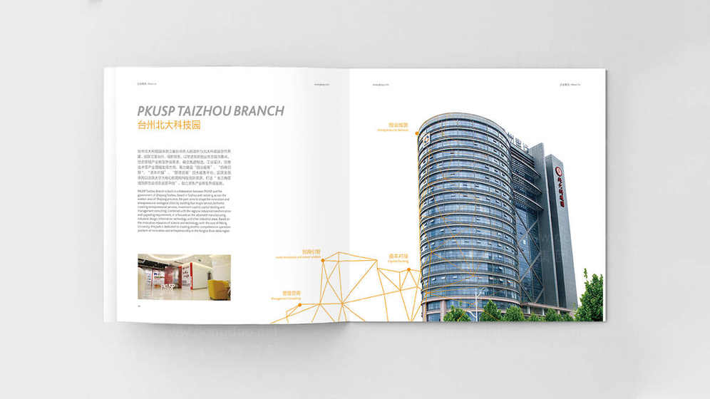 如何准确评估创意画册设计的质量？有哪些行业标准可以参考？