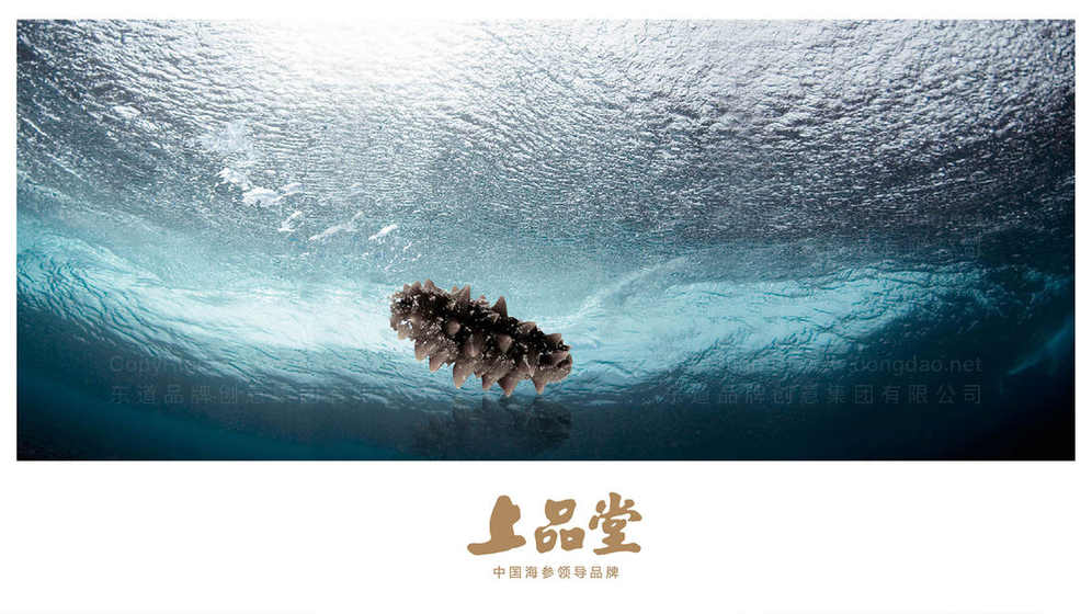 色彩搭配对机械画册设计的专业度影响有多大？