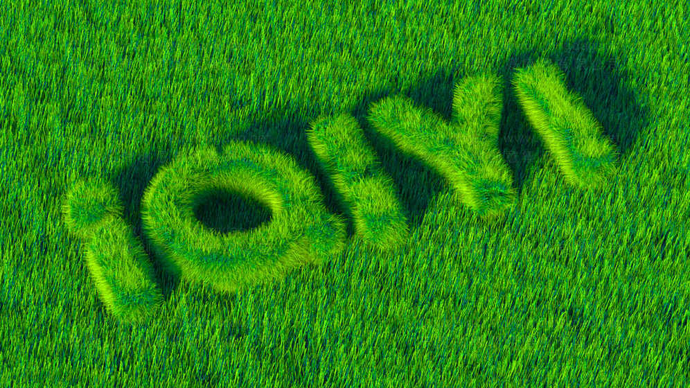 折页画册设计流程中，信息层级规划应该遵循什么原则？如何验证其有效性？