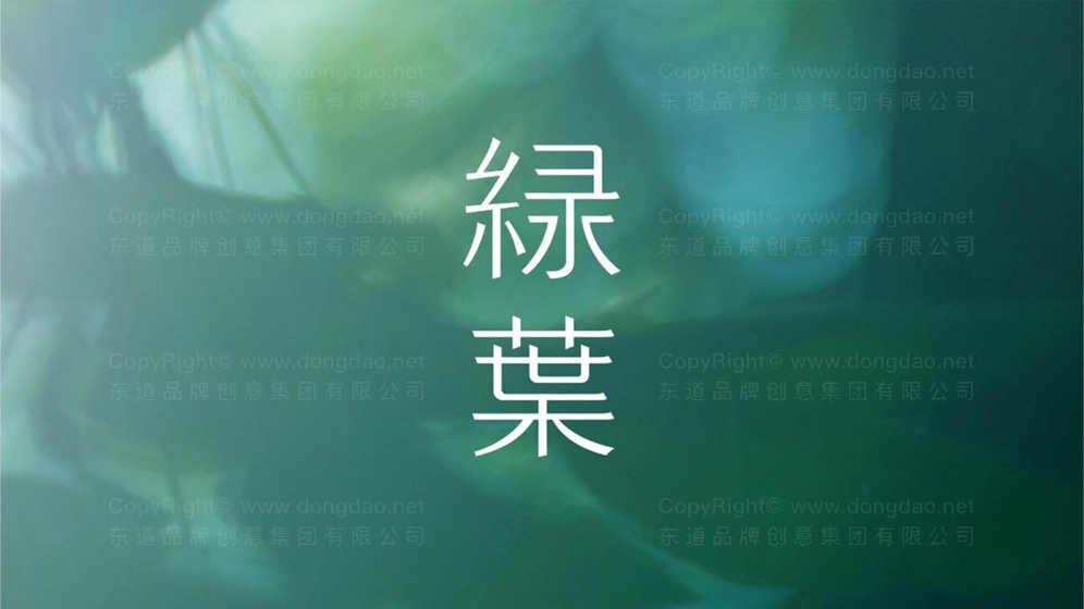 如何设计面膜画册？为什么它能增强产品吸引力？