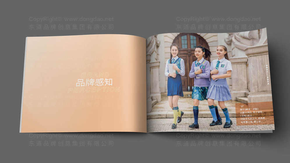 婴儿湿巾画册设计是什么？它对消费者购买决策有何影响？