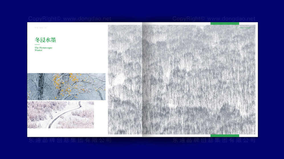 如何选择水源热泵画册的配色和字体？符合工业风格吗？